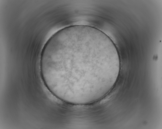 X0000091951000200709201319