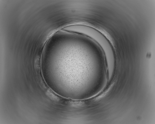 X0000091951001200709201319