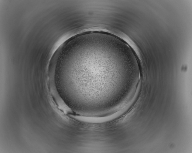 X0000091951002200709201319