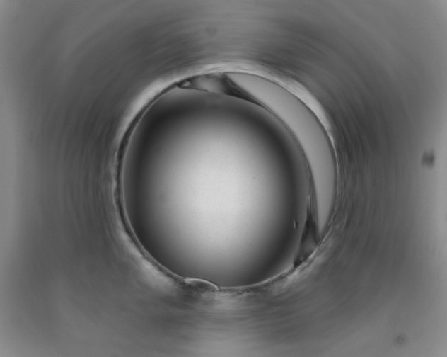 X0000091951005200709201319