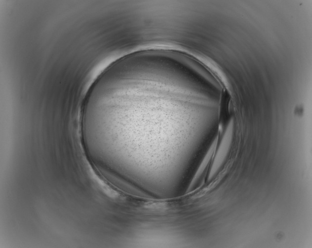 X0000091951006200709201319