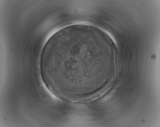 X0000091951007200709201319