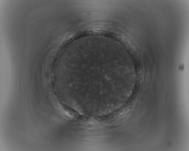 X0000091951009200709201318