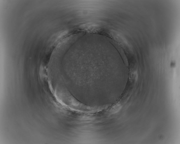 X0000091951010200709201318