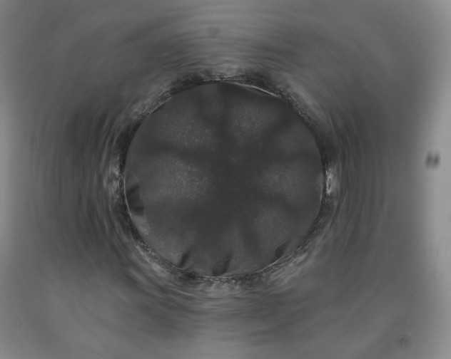 X0000091951011200709201318