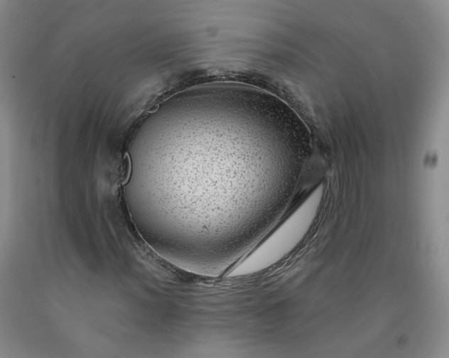 X0000091951012200709201318