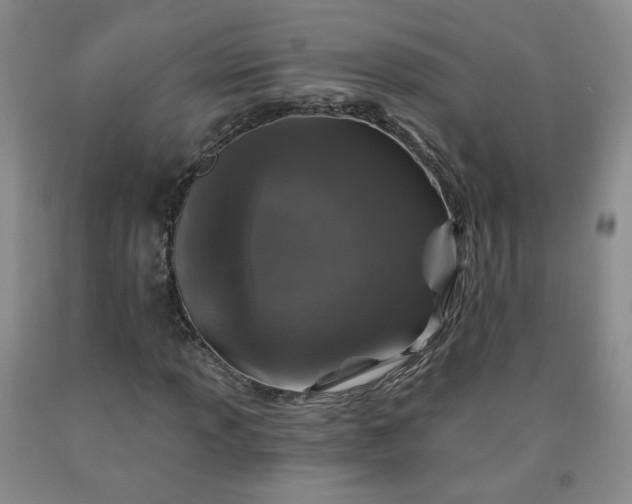 X0000091951013200709201318