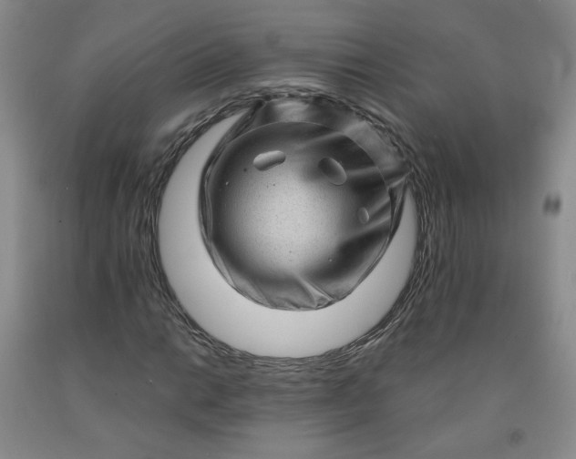 X0000091951014200709201318