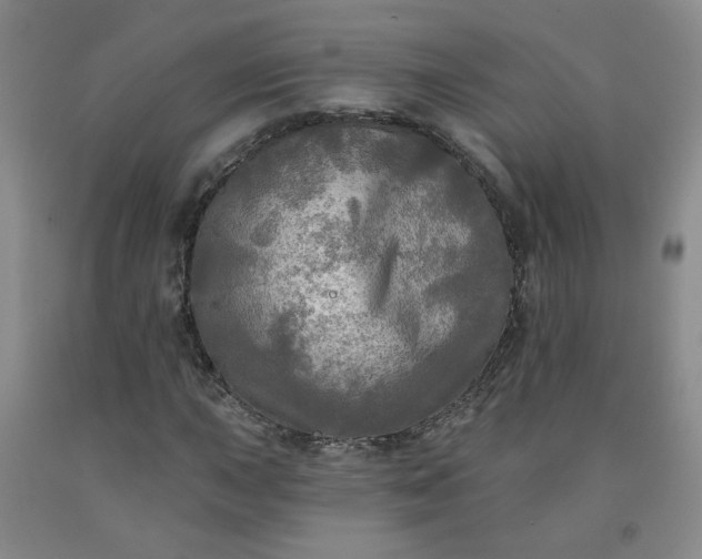 X0000091951015200709201318