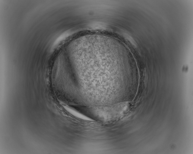 X0000091951016200709201318