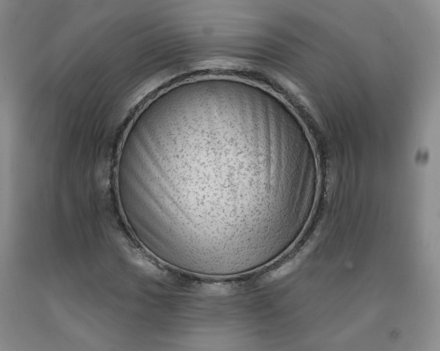 X0000091951017200709201318