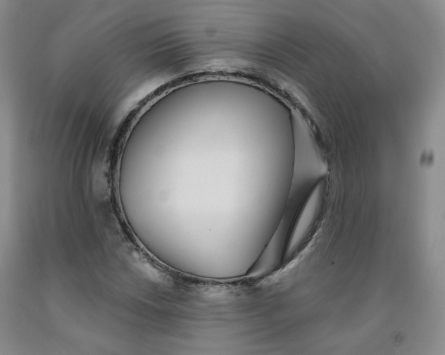 X0000091951018200709201318