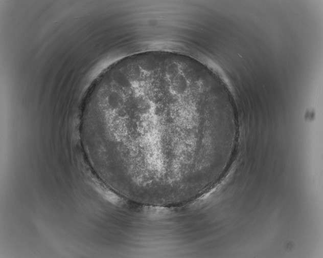 X0000091951019200709201318