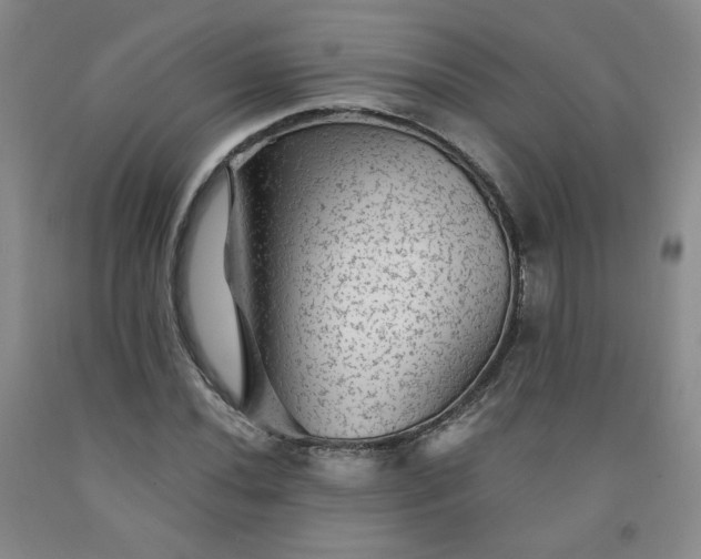 X0000091951020200709201318