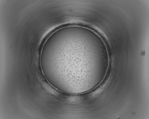 X0000091951021200709201318