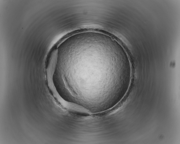 X0000091951022200709201318