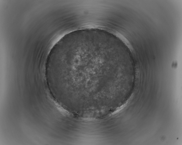 X0000091951023200709201318