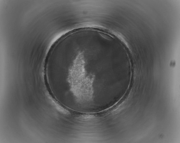 X0000091951024200709201318