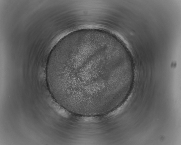 X0000091951025200709201318