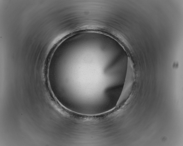 X0000091951026200709201318