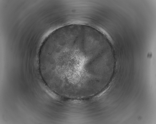 X0000091951027200709201318