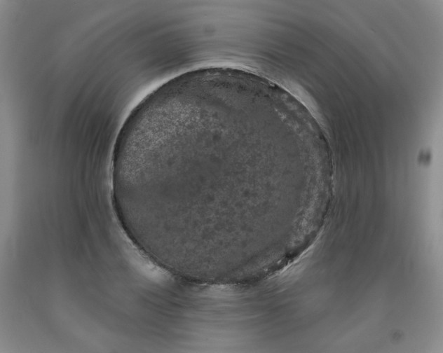 X0000091951028200709201318