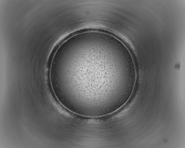 X0000091951029200709201318