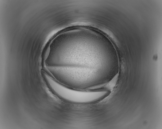 X0000091951030200709201318