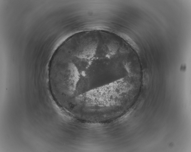 X0000091951031200709201318