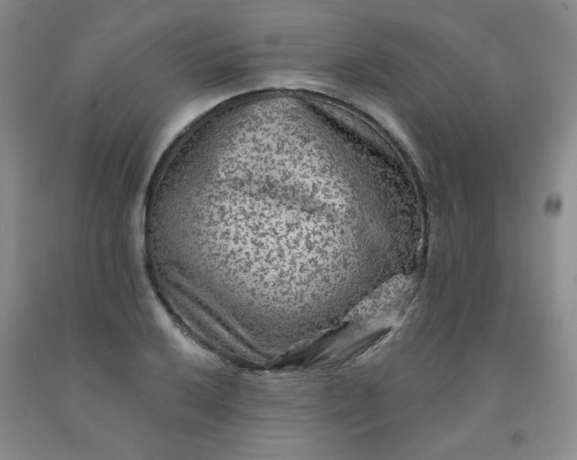 X0000091951032200709201318