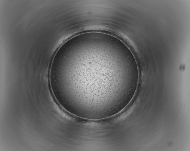 X0000091951033200709201318