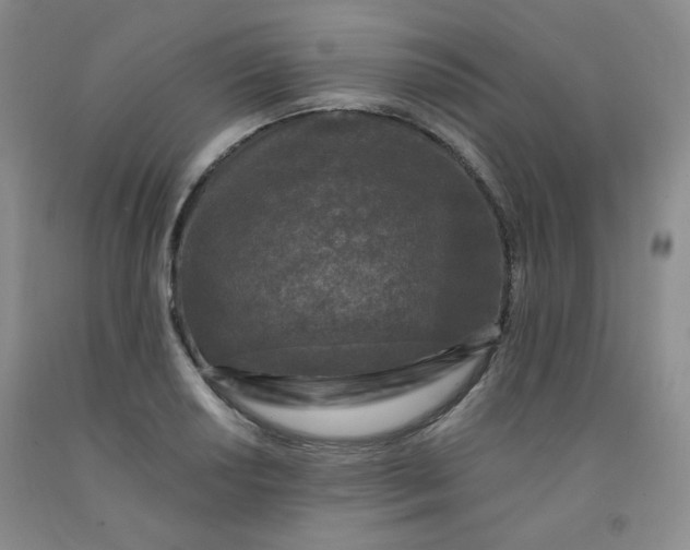 X0000091951034200709201318