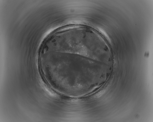 X0000091951035200709201318