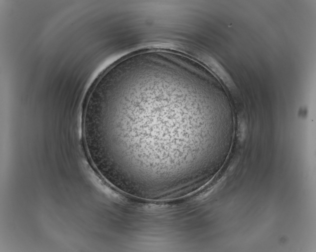 X0000091951036200709201318