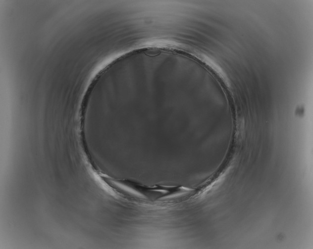 X0000091951037200709201318