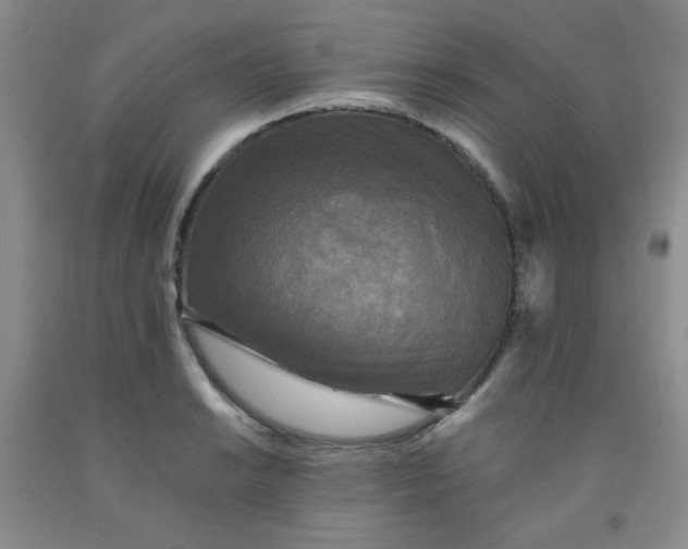 X0000091951038200709201318