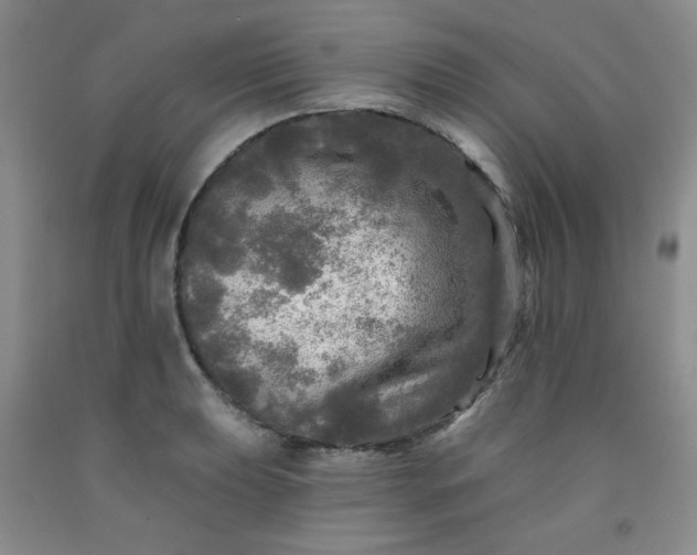 X0000091951039200709201318