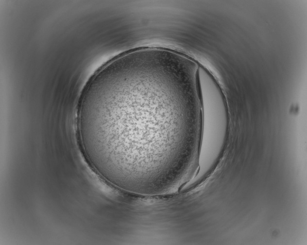 X0000091951040200709201318