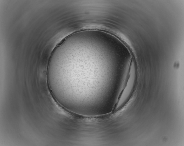 X0000091951041200709201318