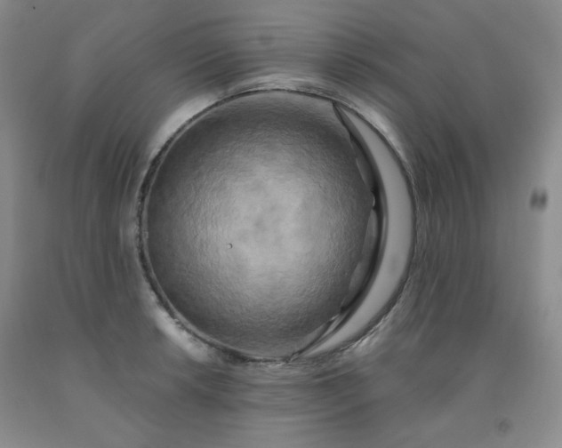 X0000091951042200709201318