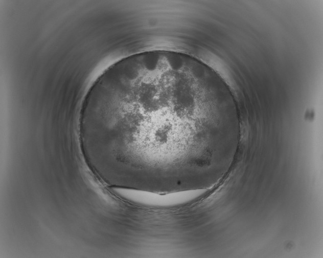 X0000091951043200709201318