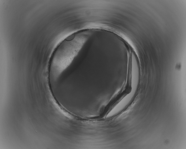 X0000091951045200709201318