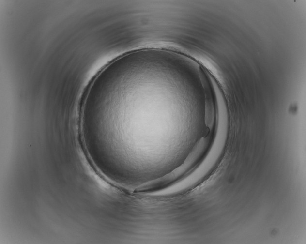 X0000091951046200709201318