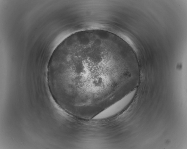 X0000091951047200709201318