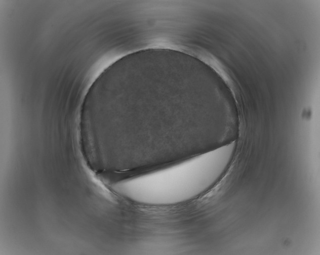 X0000091951048200709201318