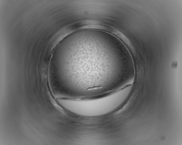 X0000091951049200709201318