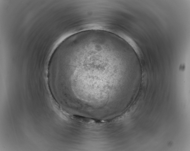 X0000091951051200709201318