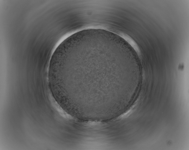 X0000091951052200709201319