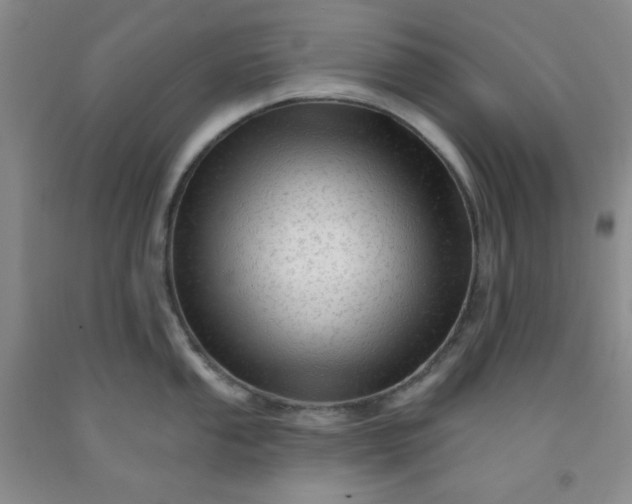 X0000091951053200709201319