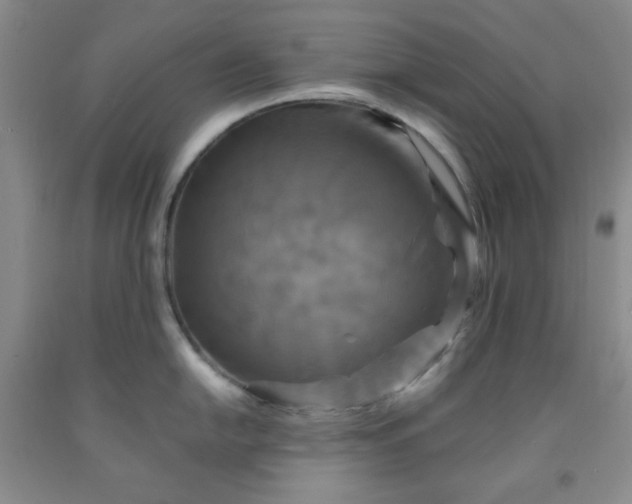 X0000091951054200709201319